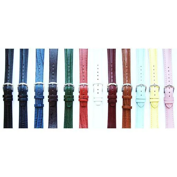 Turtles Watch in Silver (Large)
